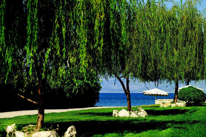 & 5* Roda (Corfu)